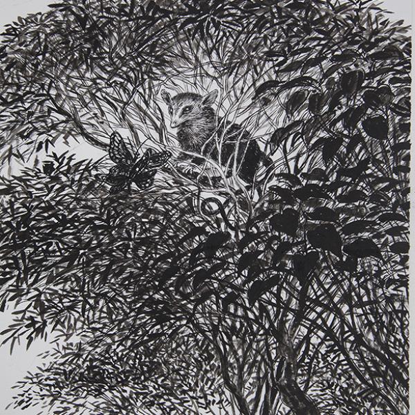 Jaca o mono de monte 